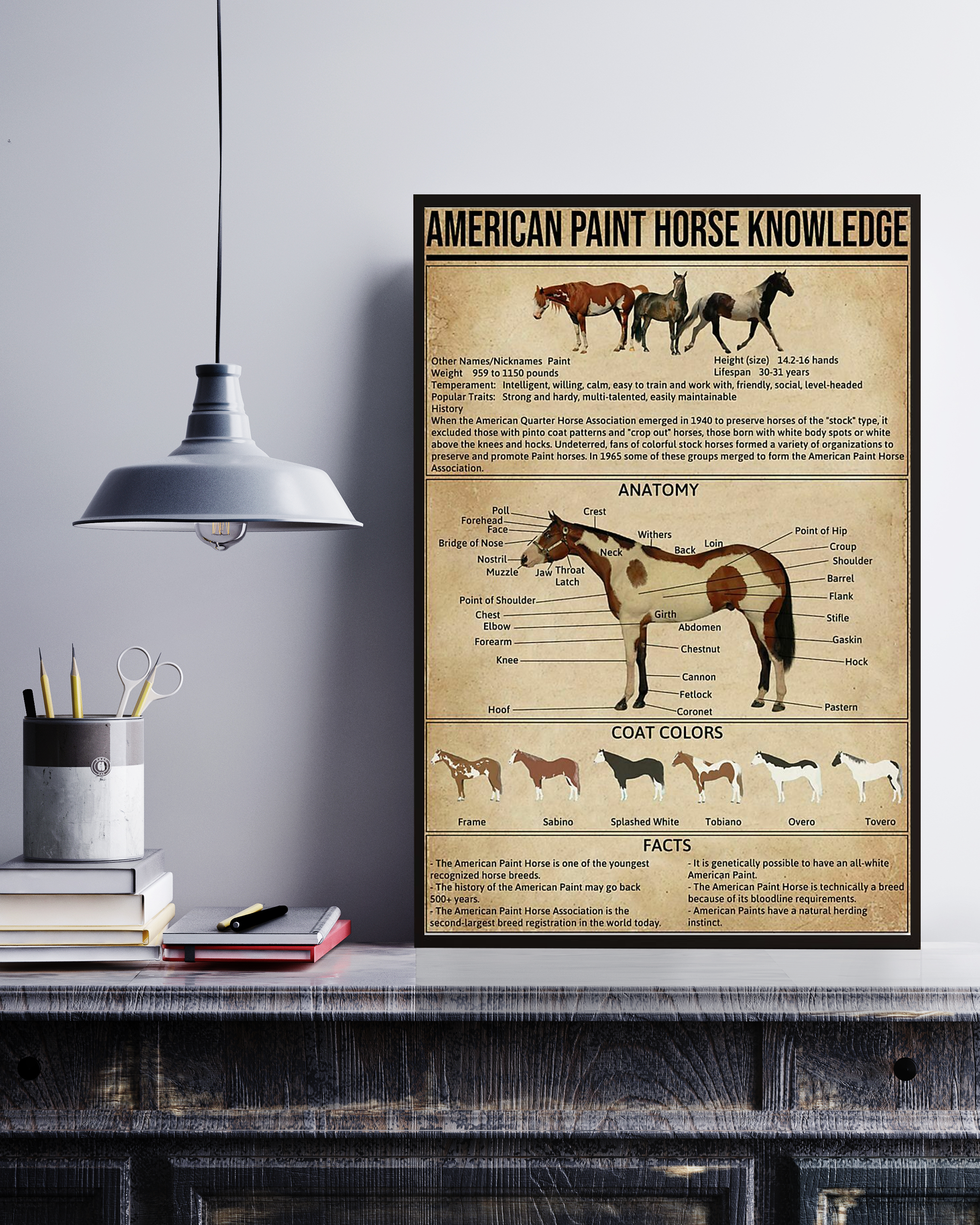 American Paint Horse Poster Portrait Knowledge Poster No Frame