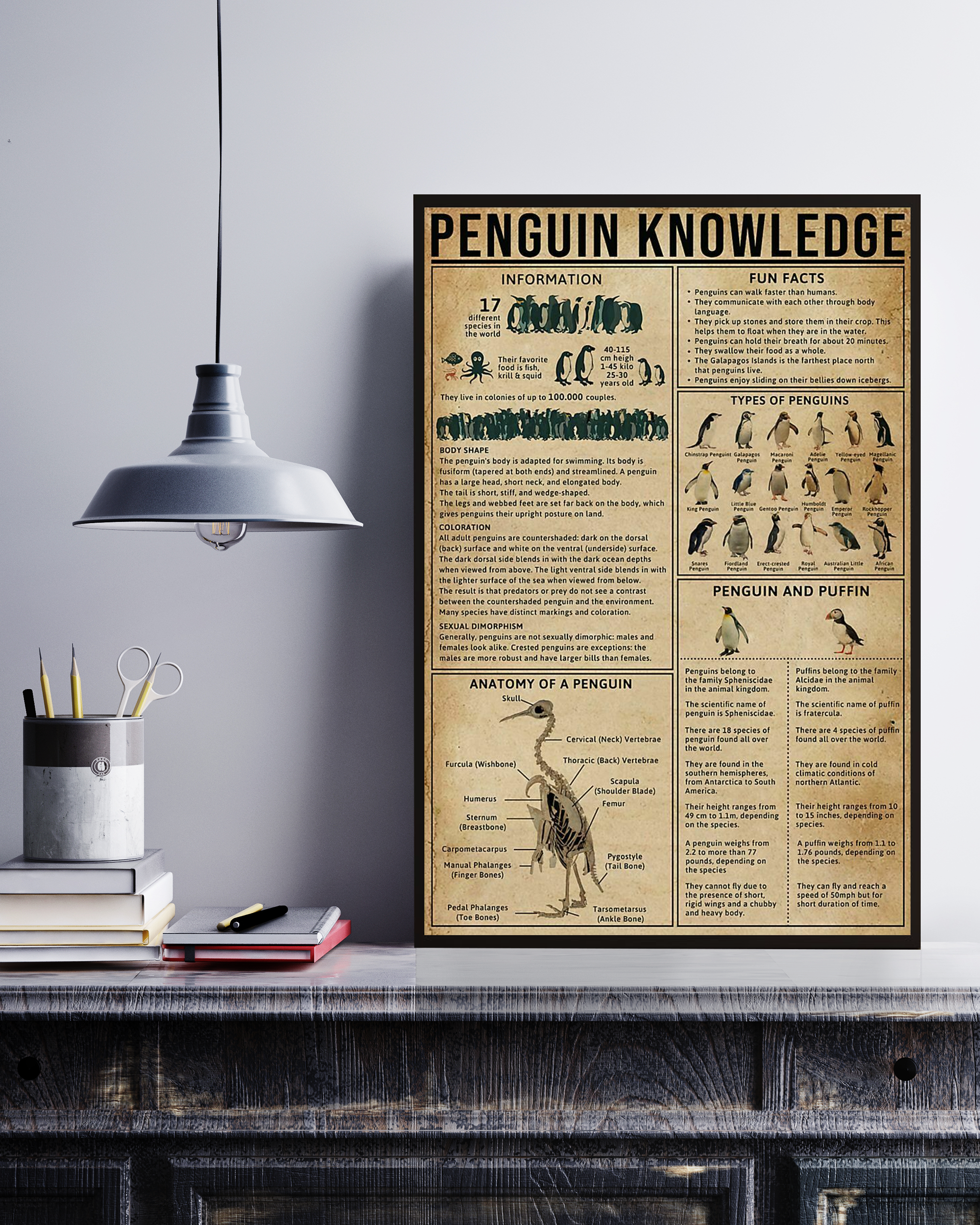 Anatomy Of A Penguin Knowledge Poster No Frame