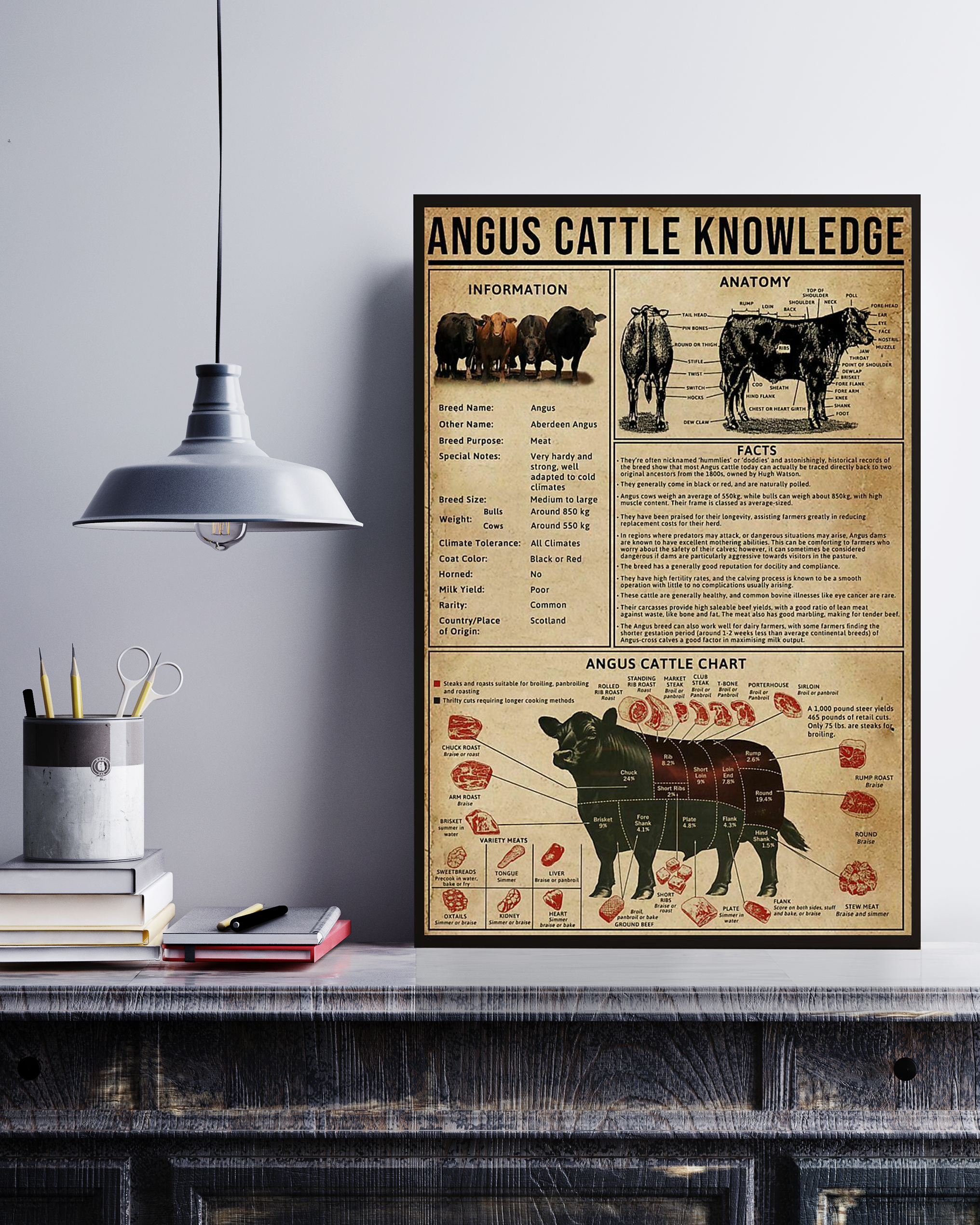 Angus Cattle Poster Portrait Knowledge Poster No Frame