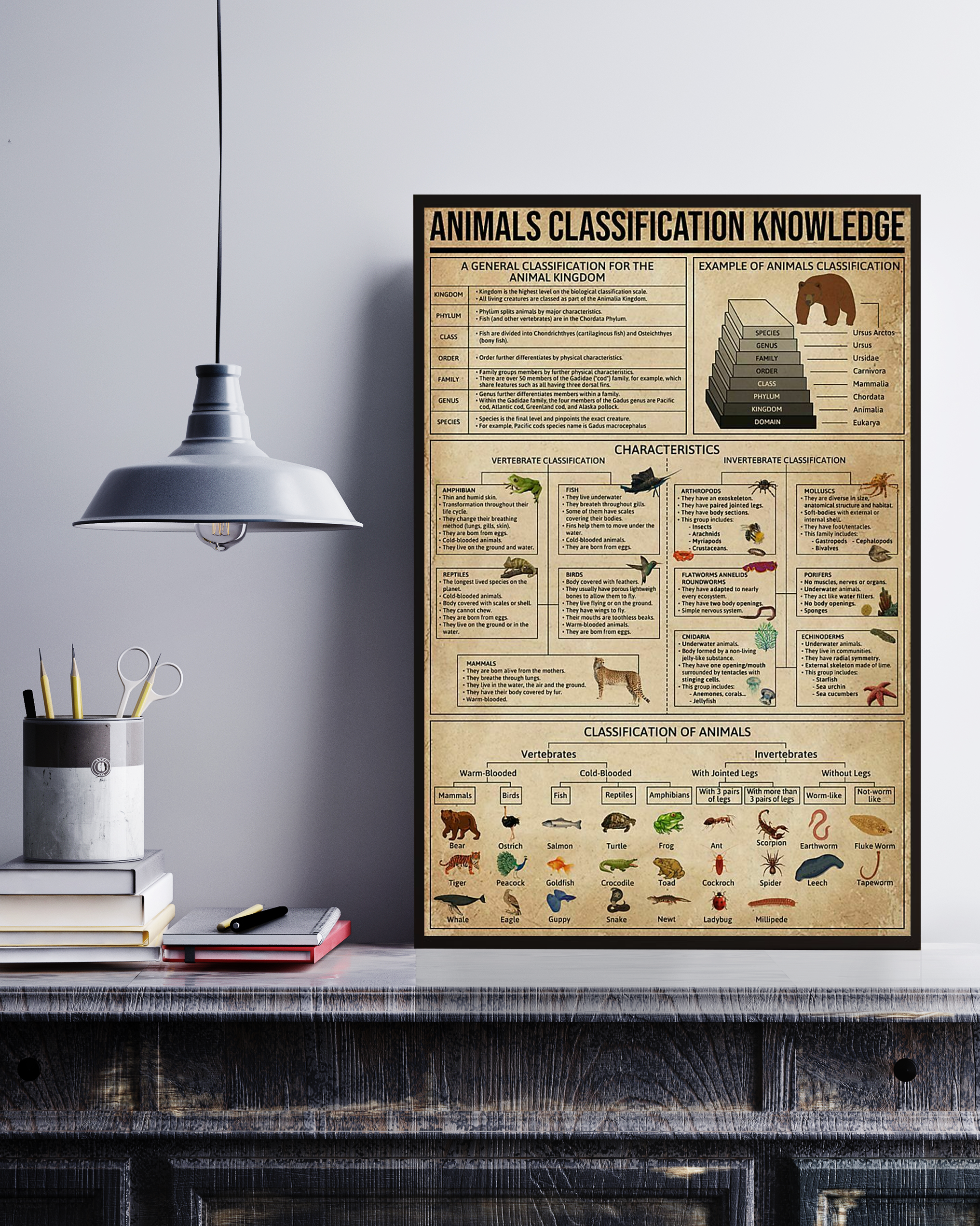 Animals Classification Poster Portrait Knowledge Poster No Frame