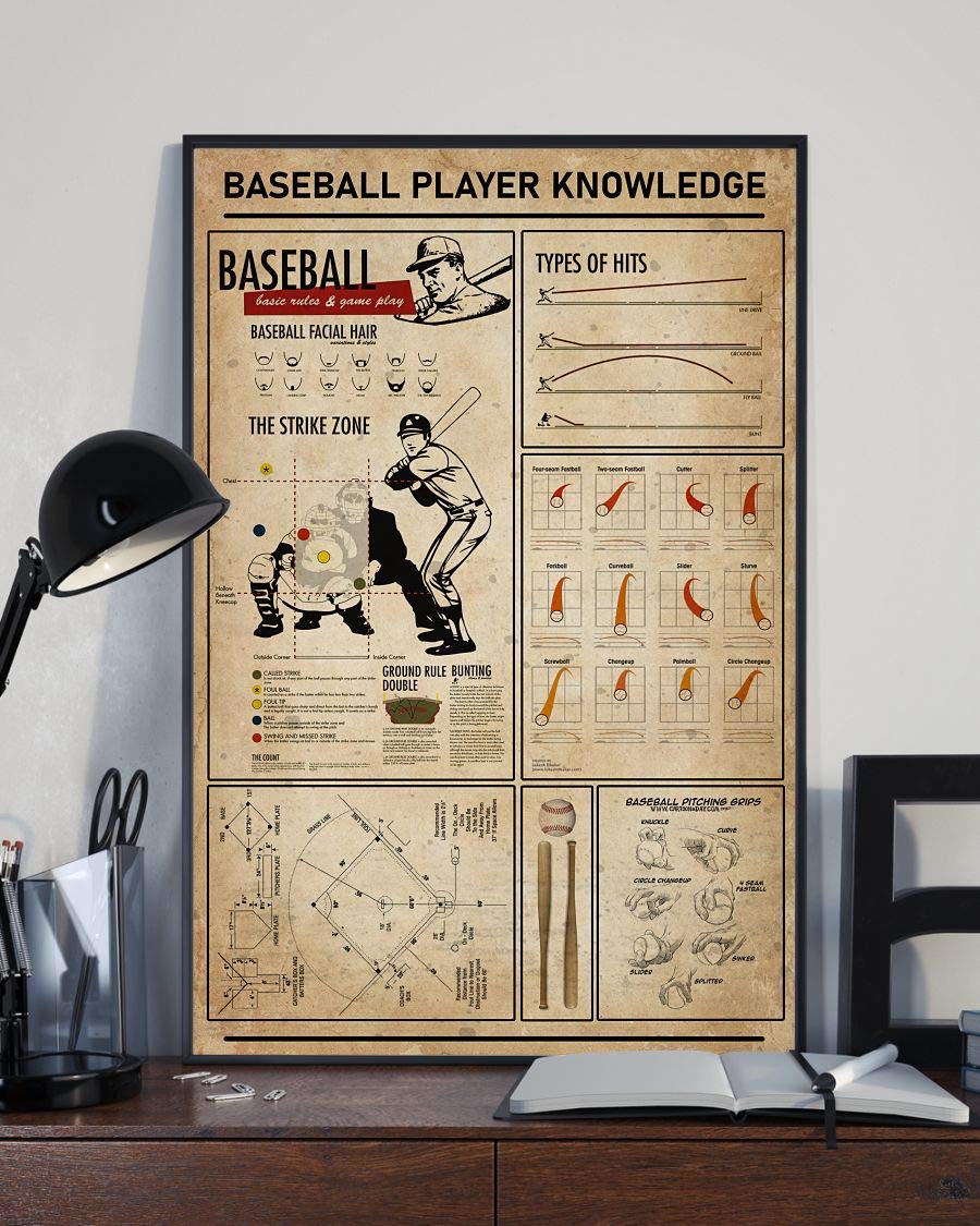 Baseball Player Knowledge Baseball Facial Hair The Strike Zone Types Of Hits Baseball Pitching Grips Satin Poster Portrait no Frame