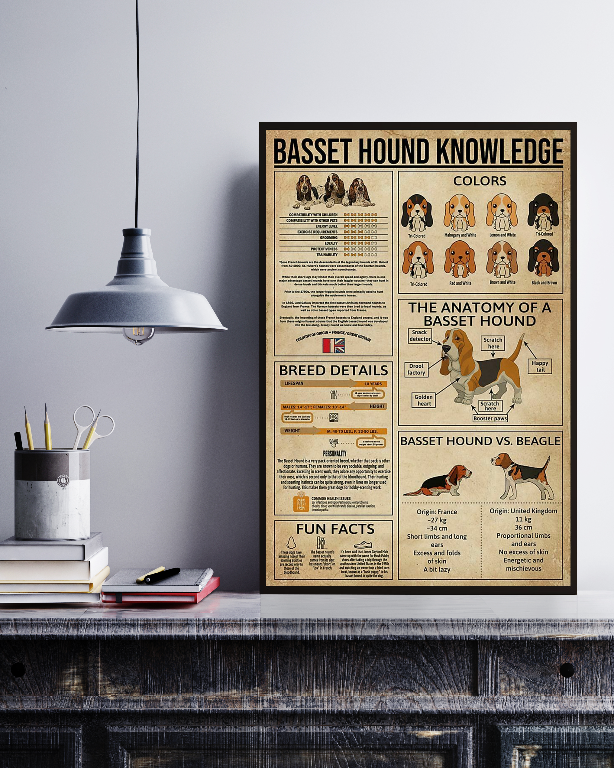 Basset Hound Knowledge Poster No Frame