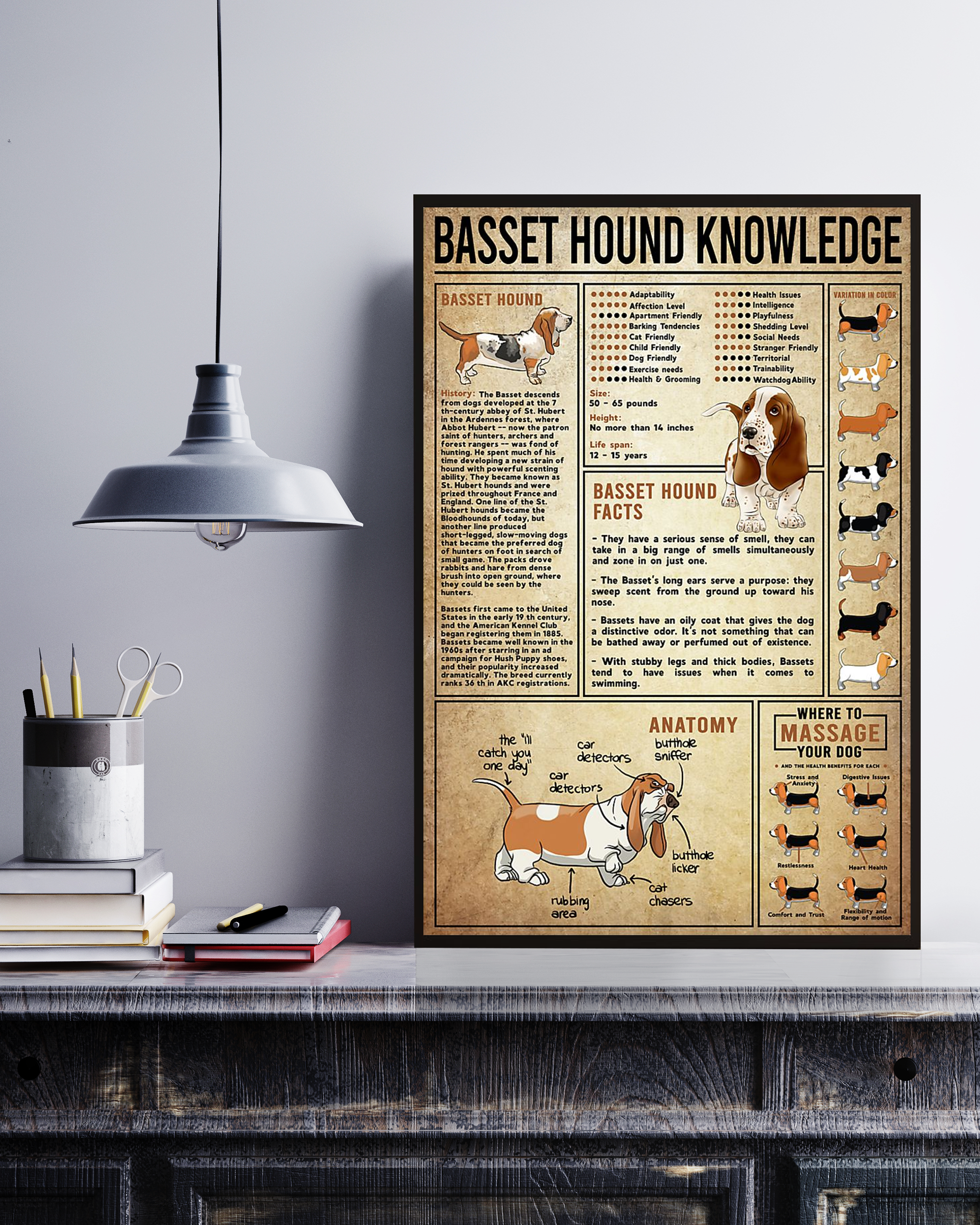 Basset Hound Poster Portrait Knowledge Poster No Frame