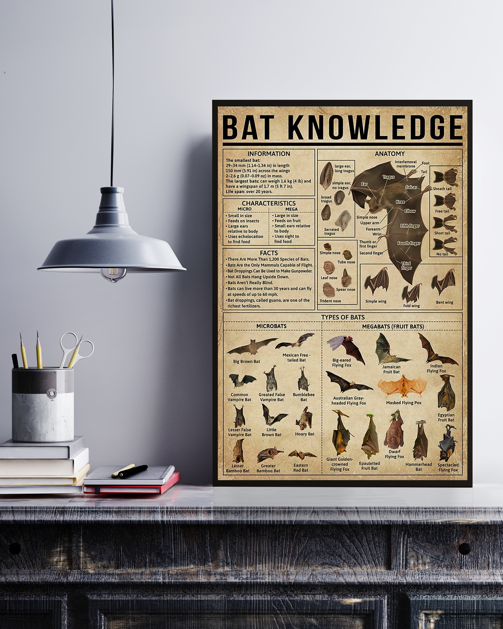 Bat Poster Portrait Knowledge Poster No Frame