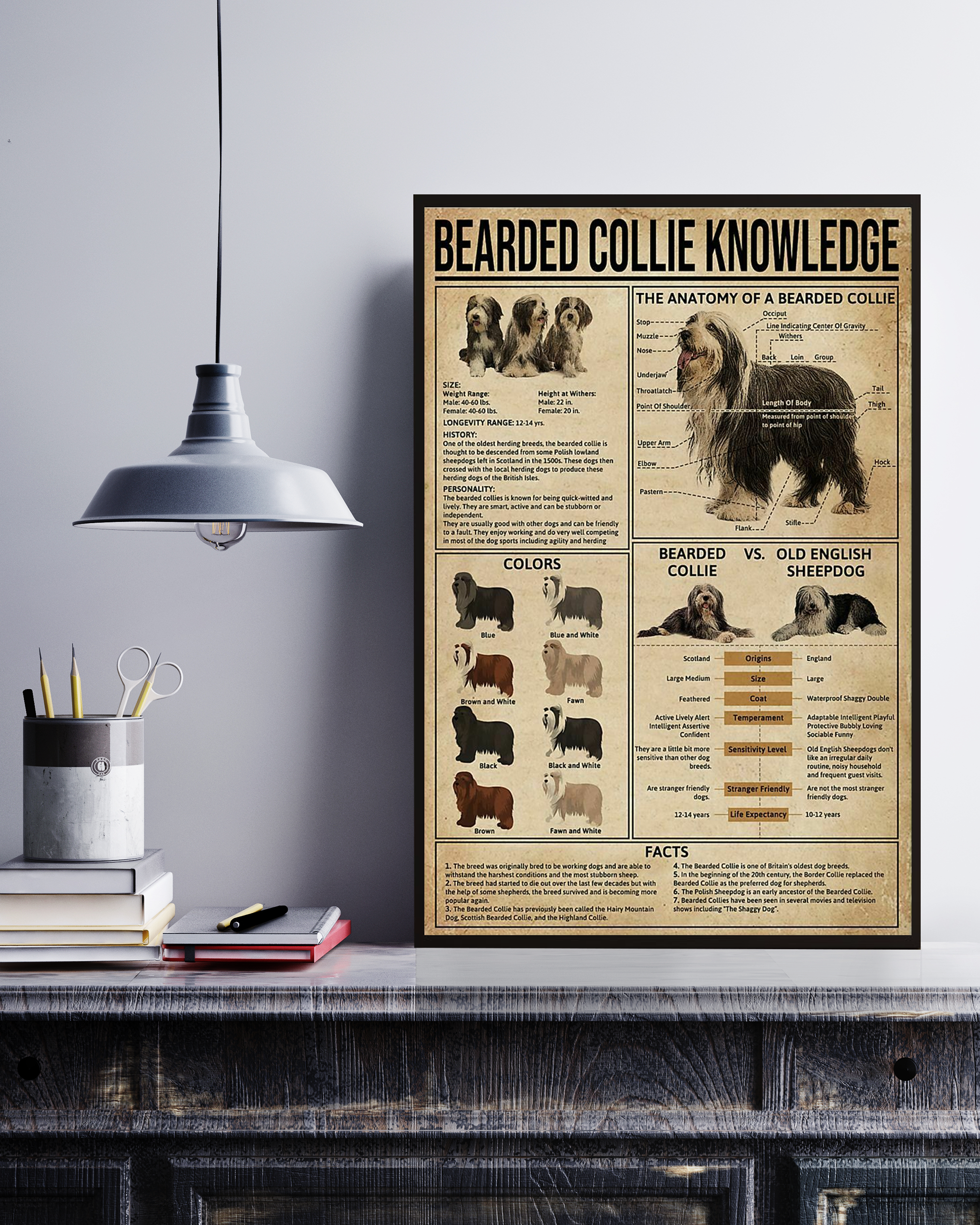 Bearded Collie Poster Portrait Knowledge Poster No Frame