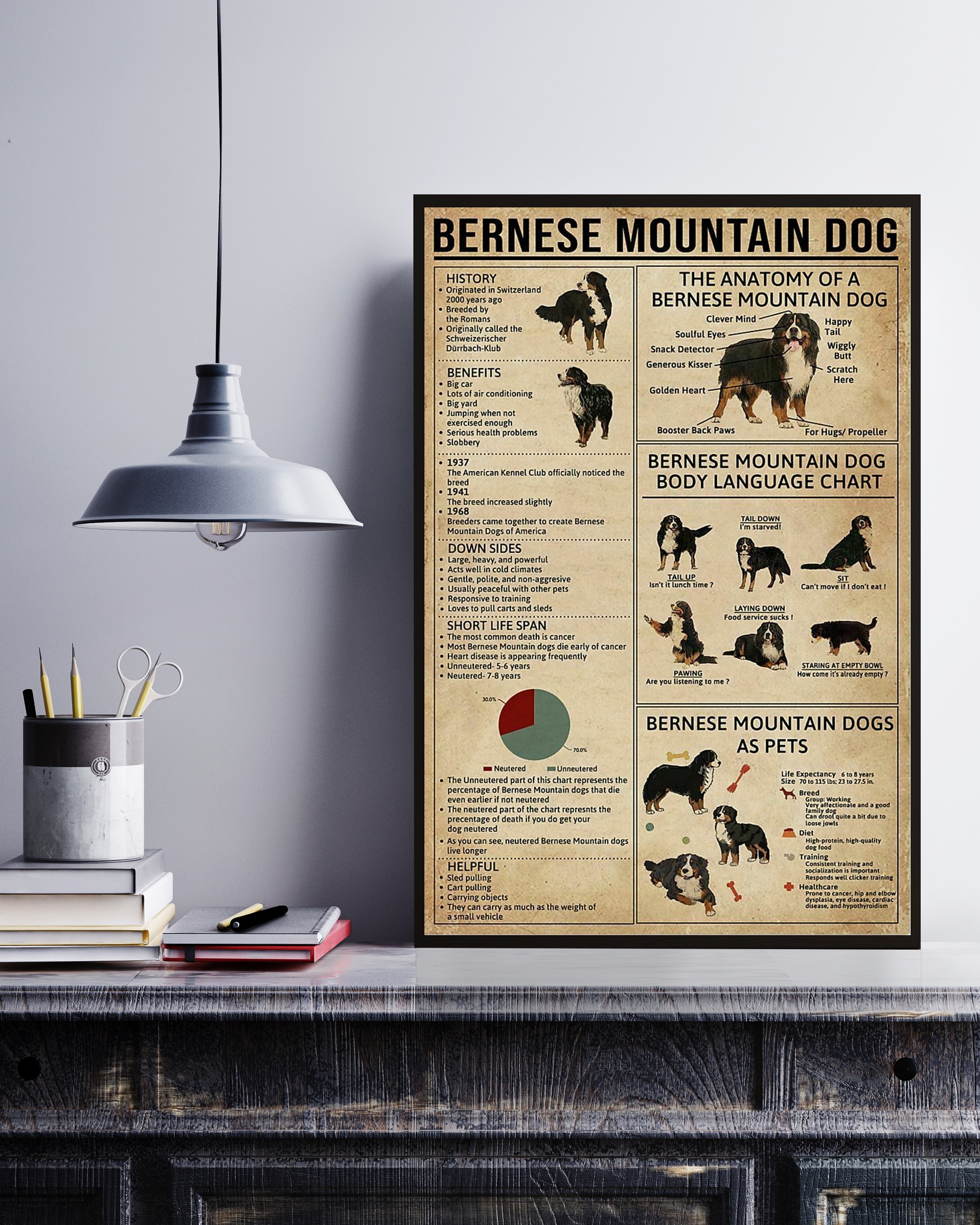 Bernese Mountain Dog Knowledge Poster No Frame