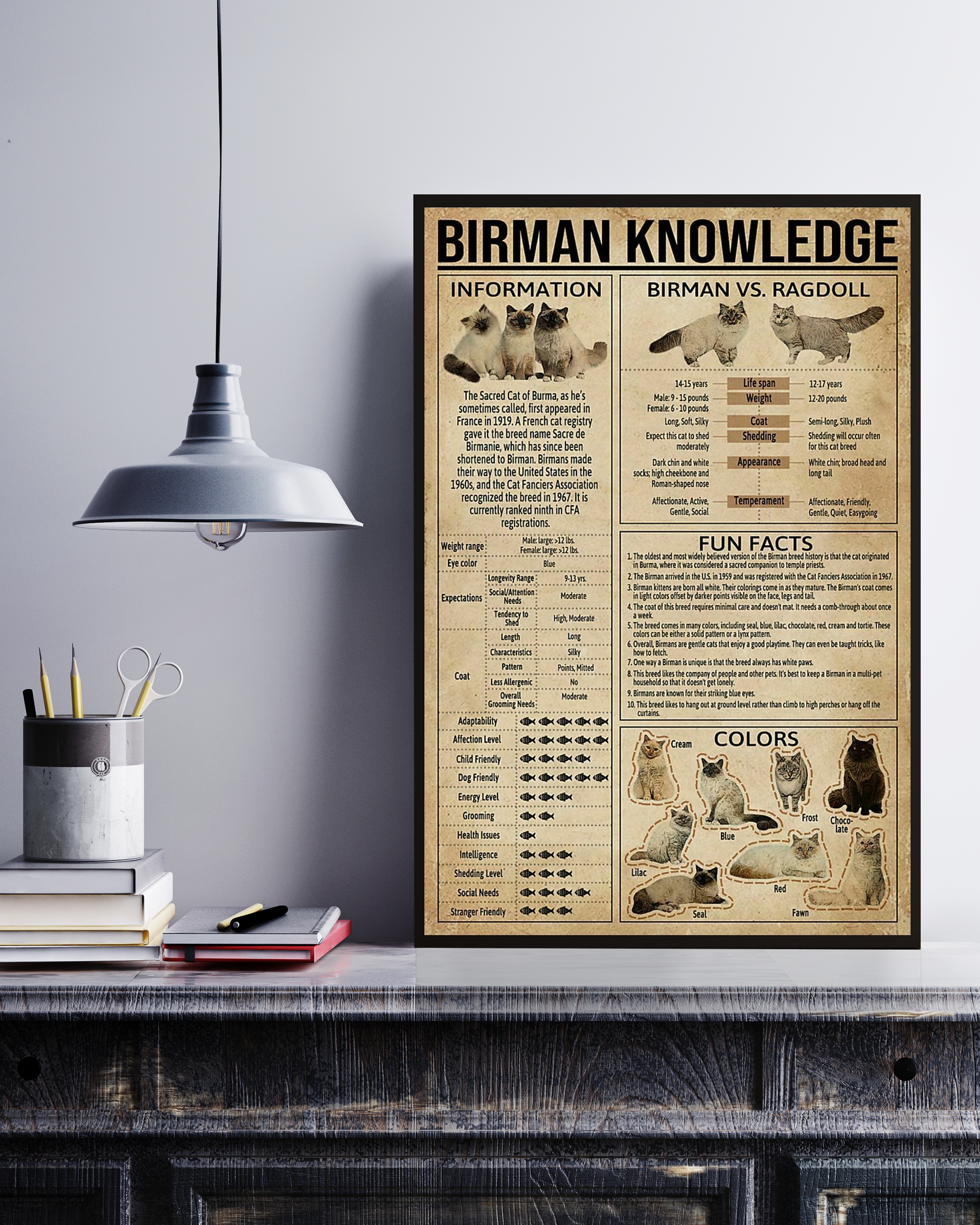 Birman Cat Poster Portrait Knowledge Poster No Frame