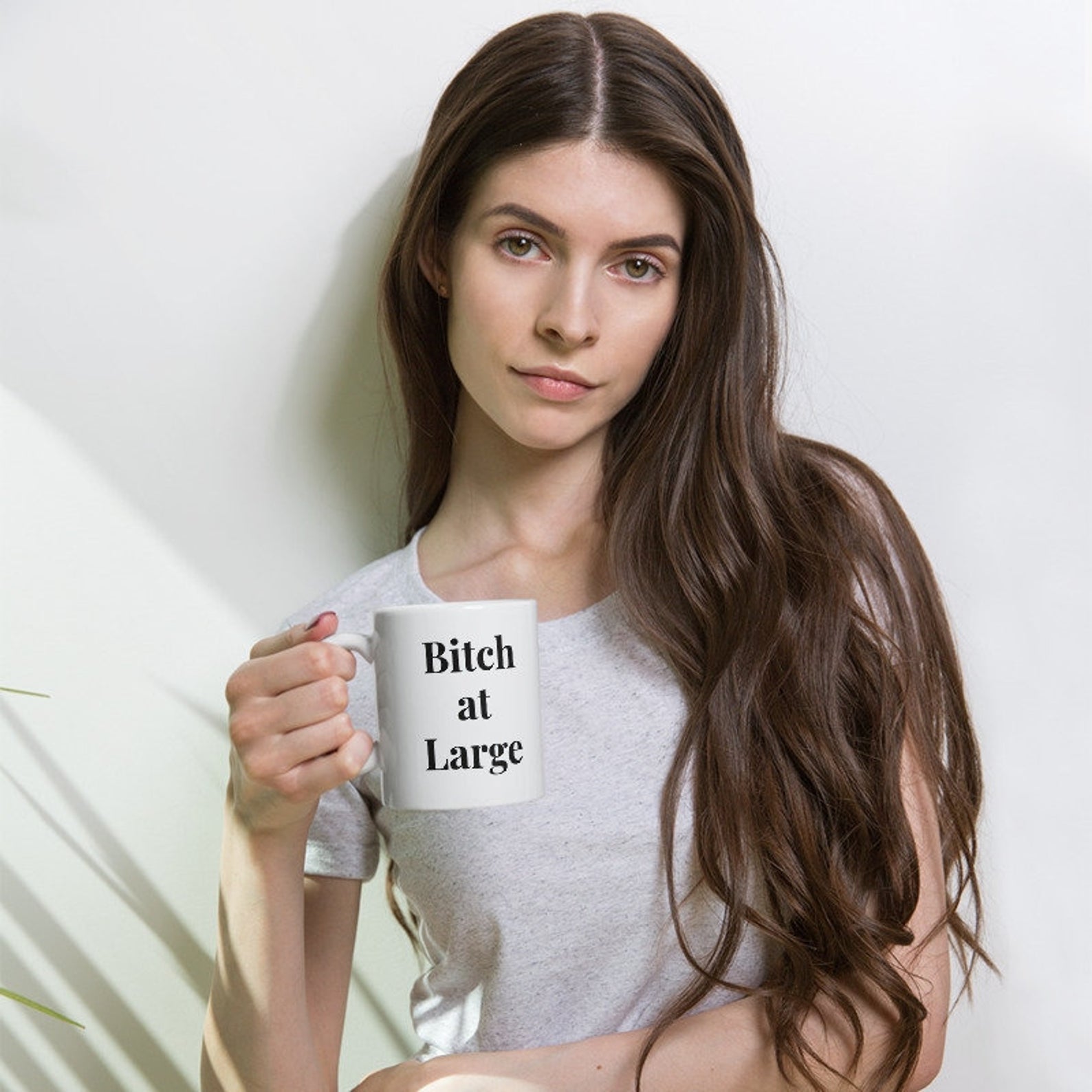 Bitch At Large Funny Meme Gifts Mug White Ceramic 11-15Oz Coffee Tea Cup