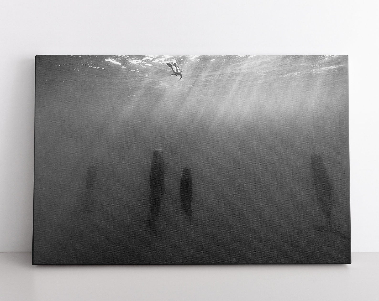 Black and White Animals Ocean Whales Whale Pod Photo Print on Contemporary Modern Above Couch Frame Wrapped Canvas Home Decor full size