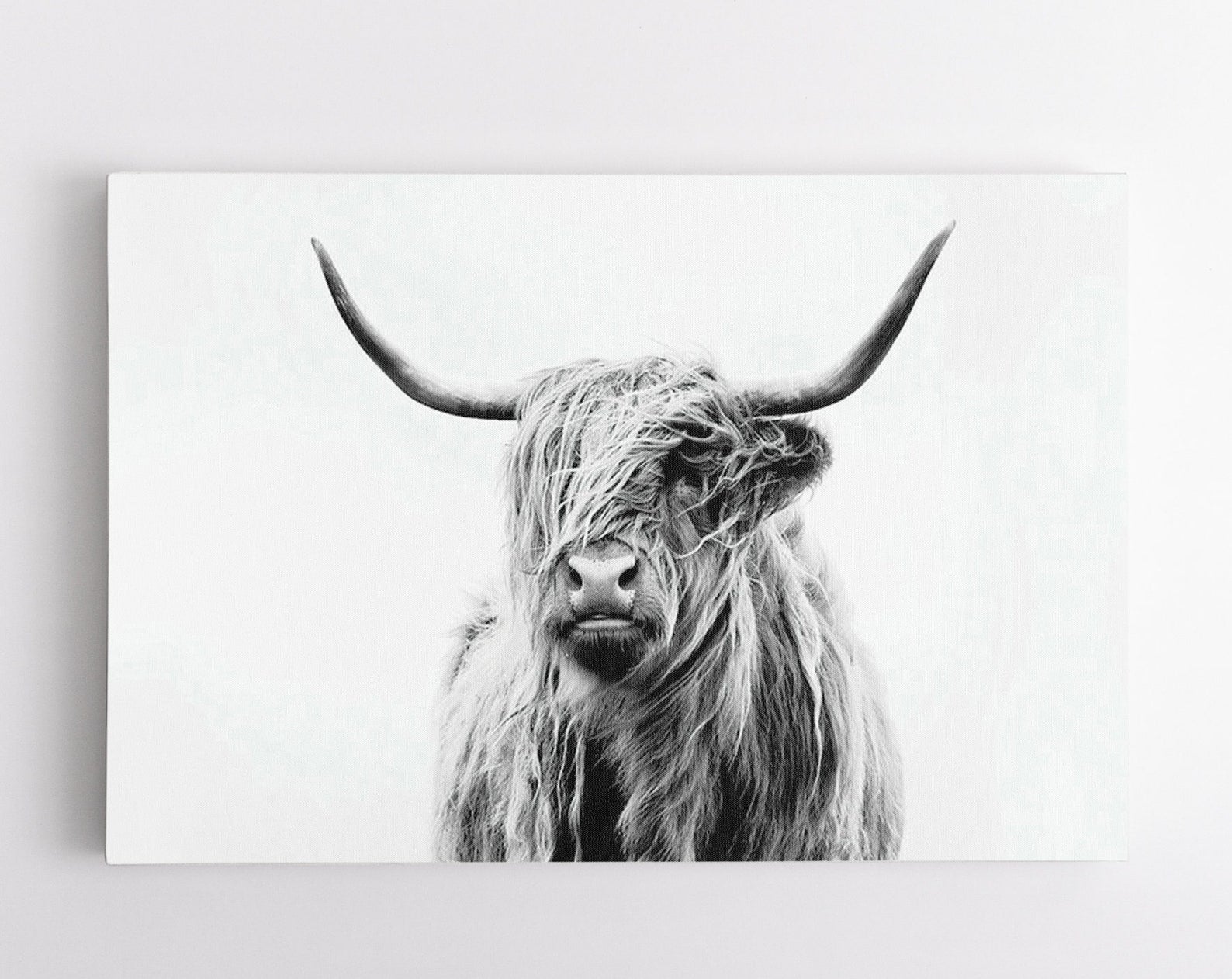 Black and White Highland Cow Modern Contemporary Print Above Couch Frame Wrapped Canvas Home Decor full size