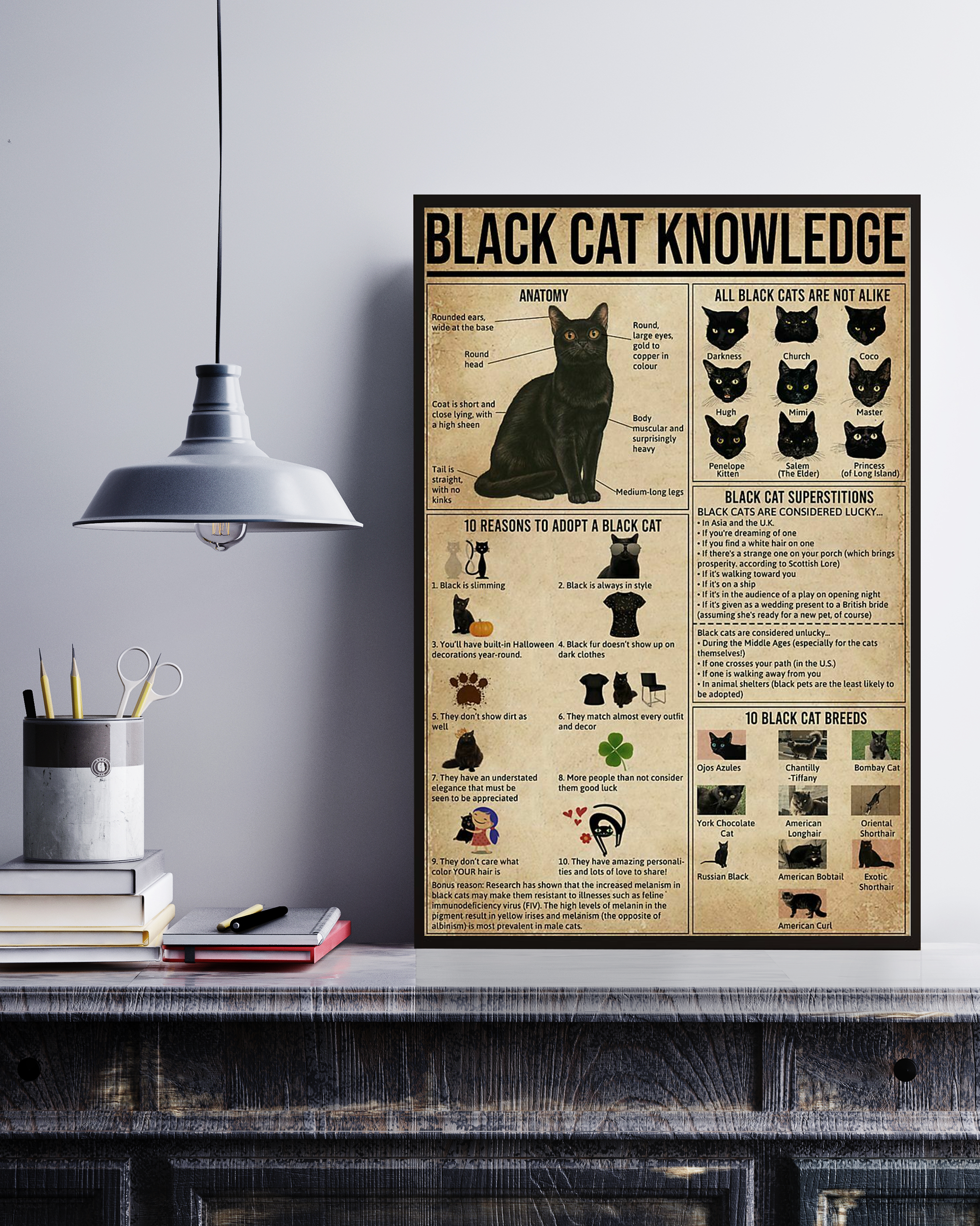 Black Cat Poster Portrait Knowledge Poster No Frame