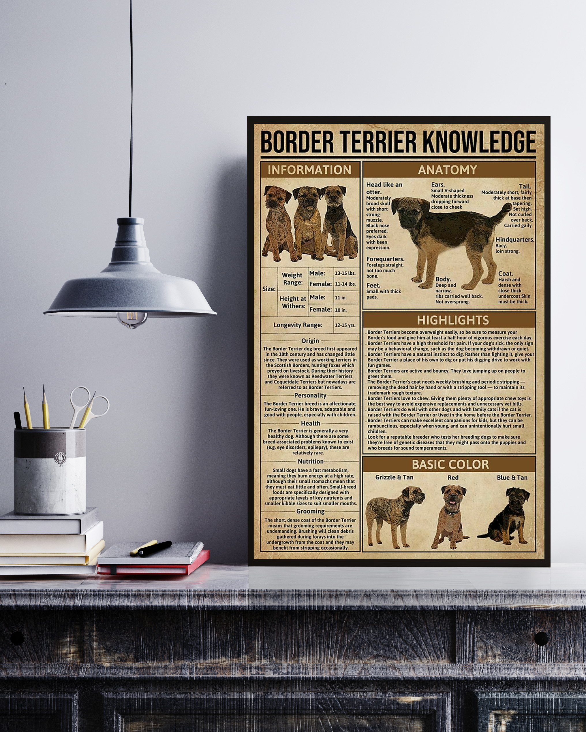 Border Terrier Poster Portrait Knowledge Poster No Frame