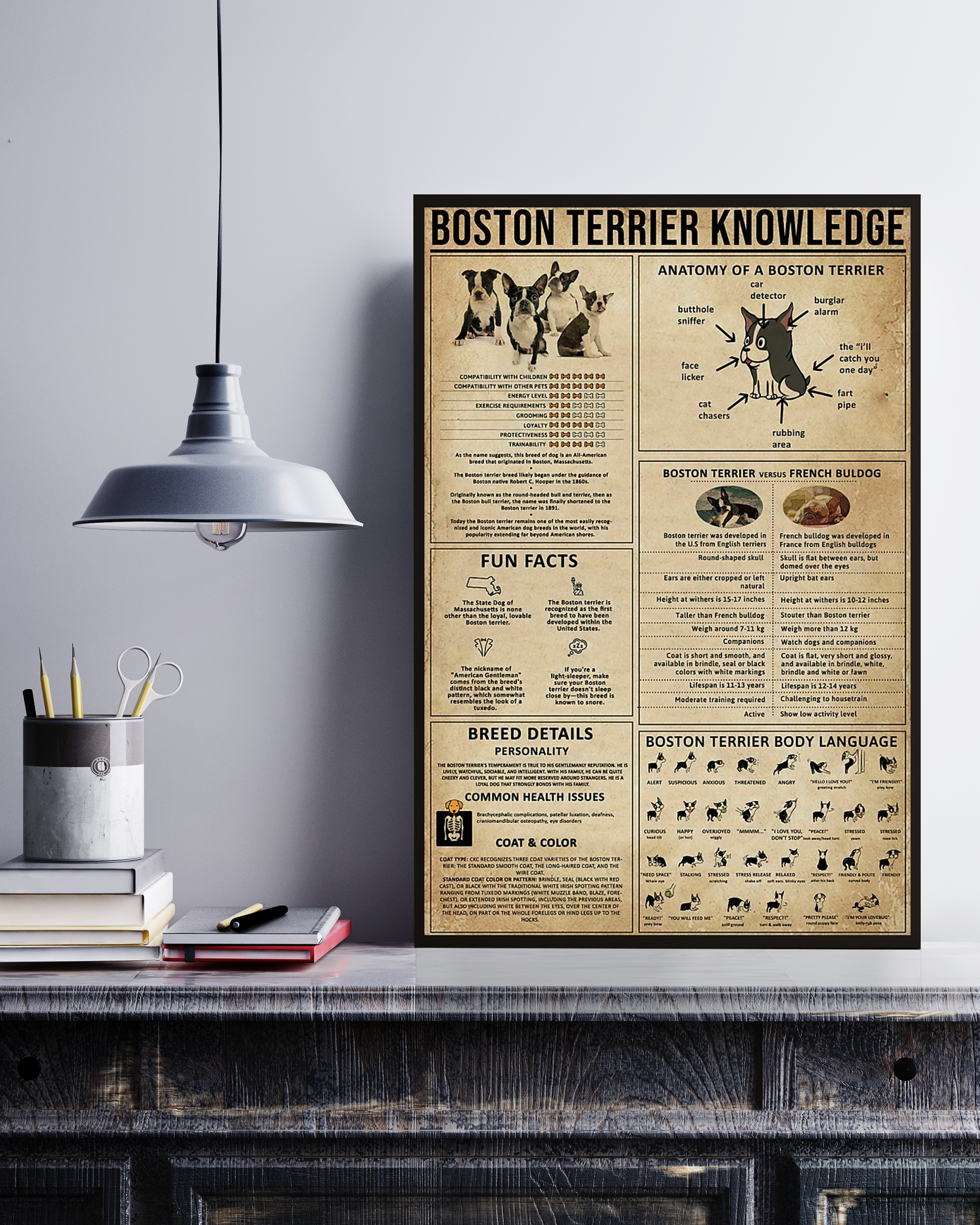 Boston Terrier Poster Portrait Knowledge Poster No Frame