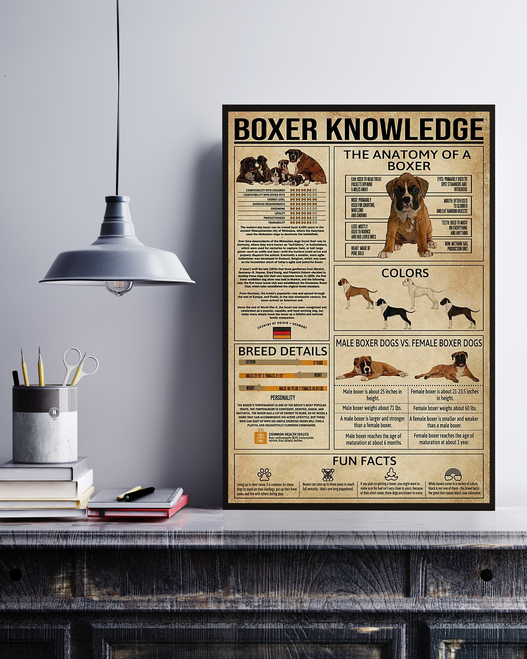 Boxer Poster Portrait Knowledge Poster No Frame