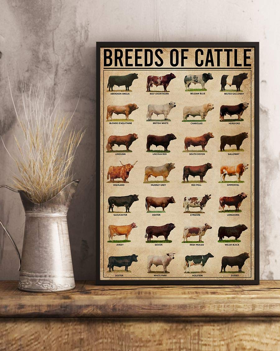 Breeds Of Cattle Satin Poster Portrait no Frame