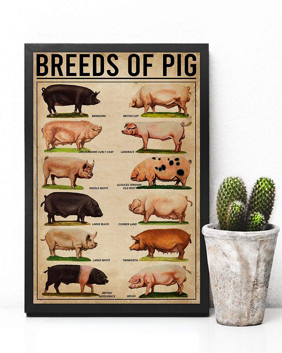 Breeds Of Pig Satin Poster Portrait no Frame