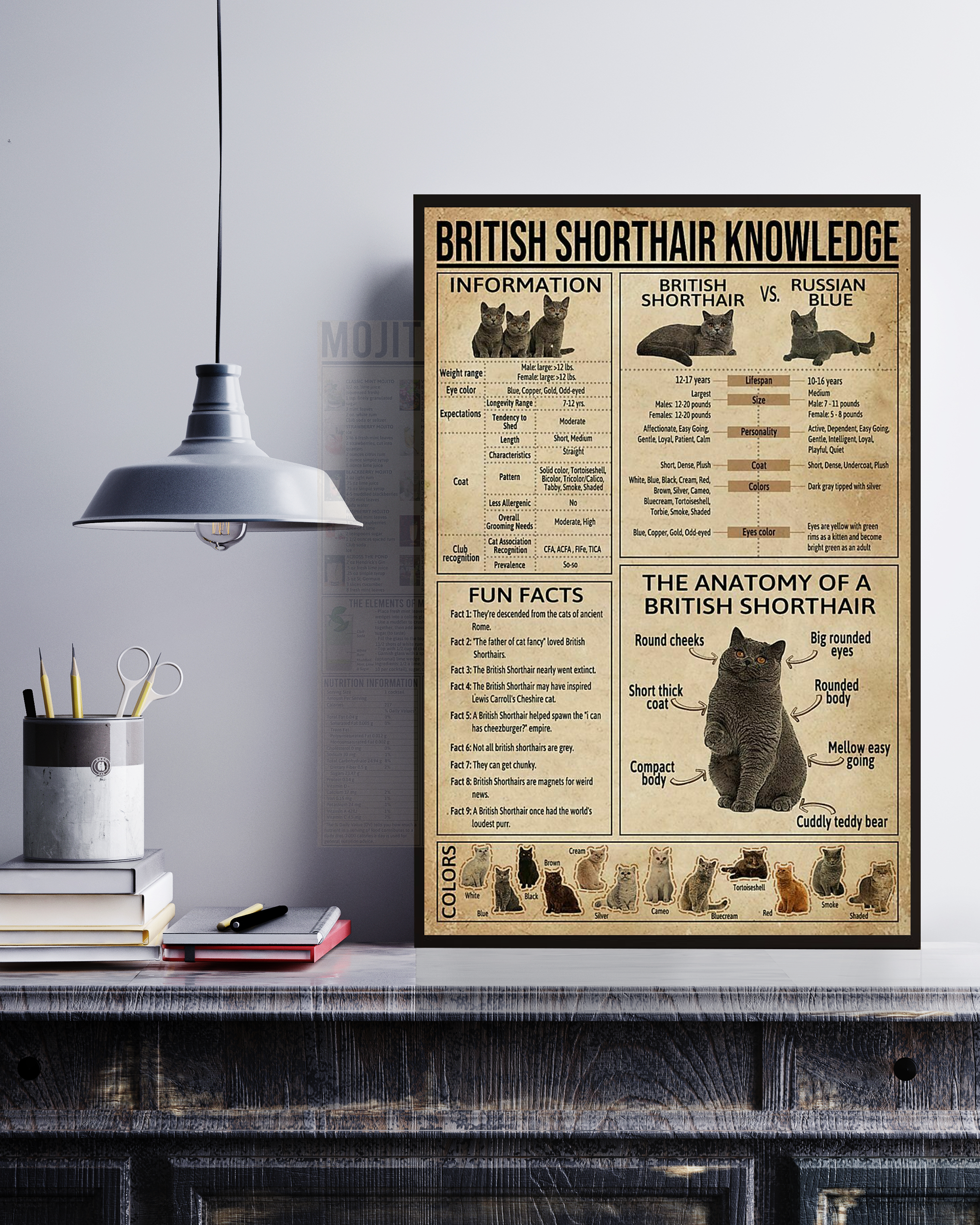 British Shorthair Knowledge Poster No Frame