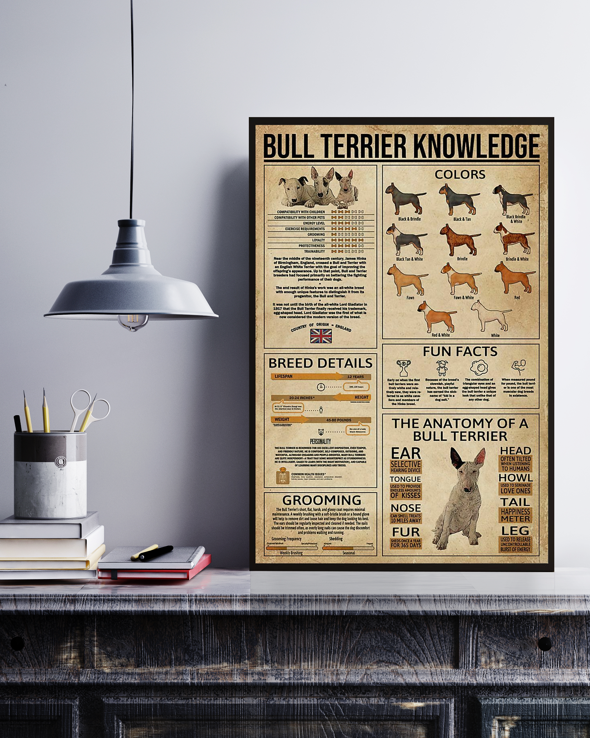 Bull Terrier Poster Portrait Knowledge Poster No Frame