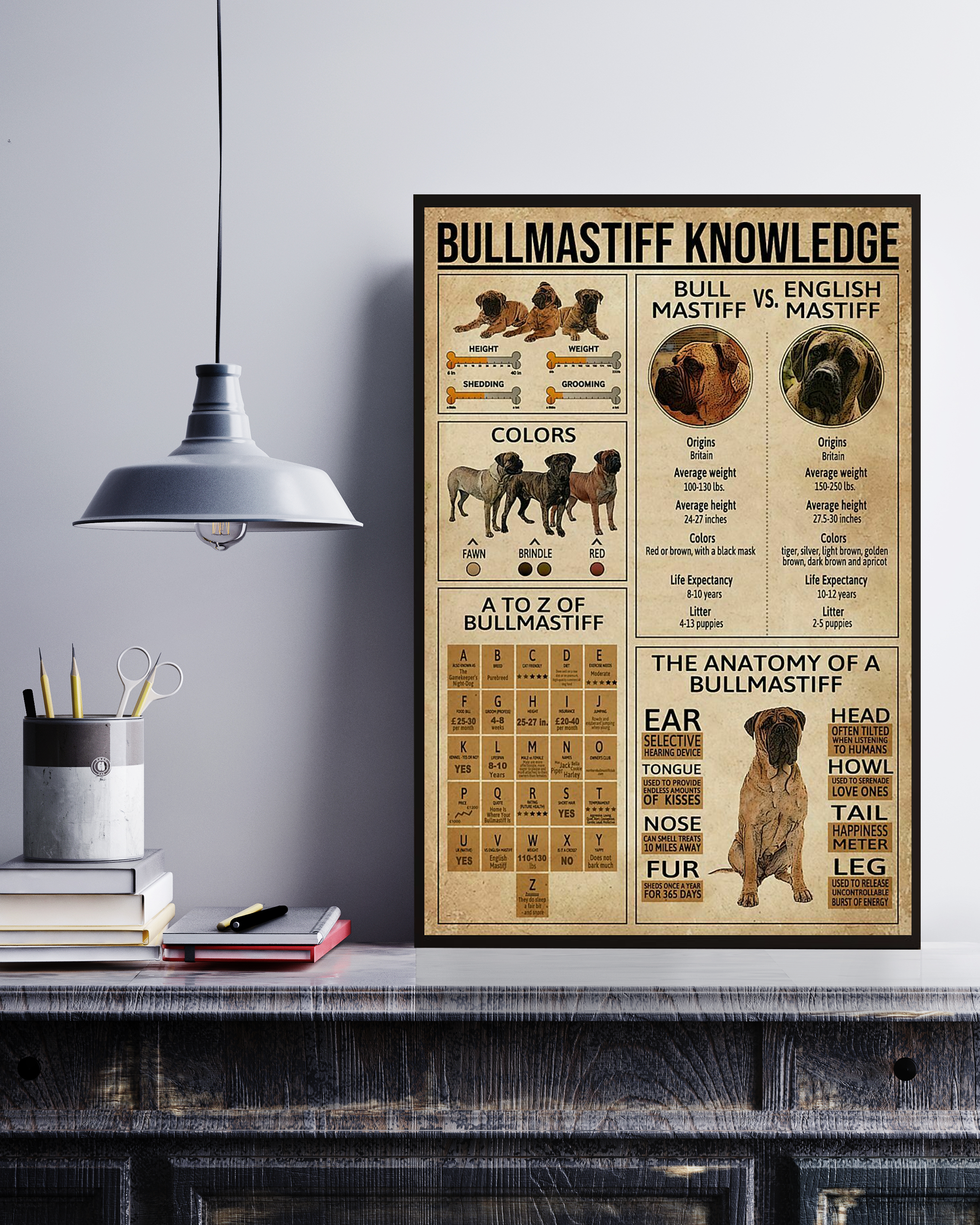 Bullmastiff Poster Portrait Knowledge Poster No Frame