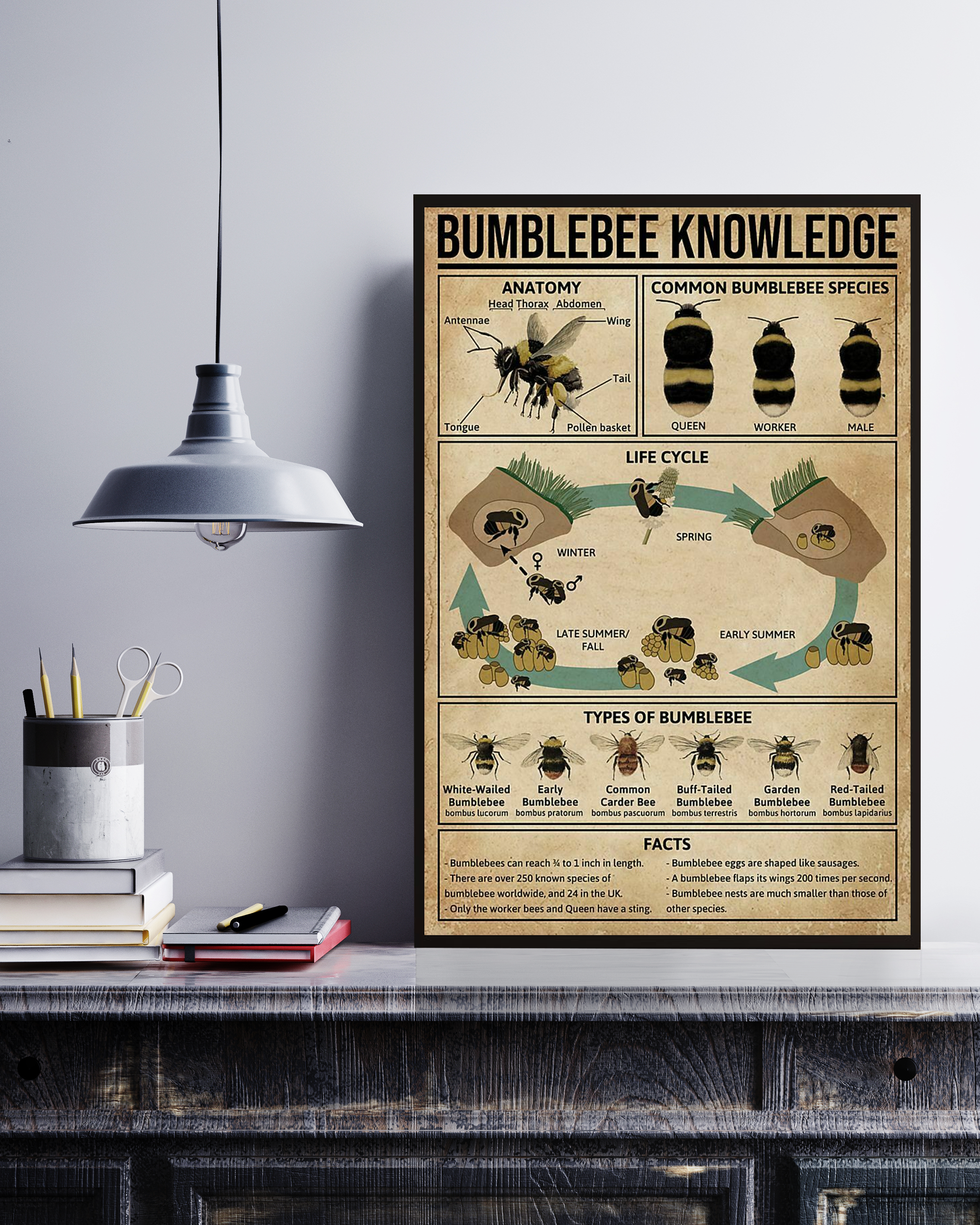 Bumblebee Poster Portrait Knowledge Poster No Frame