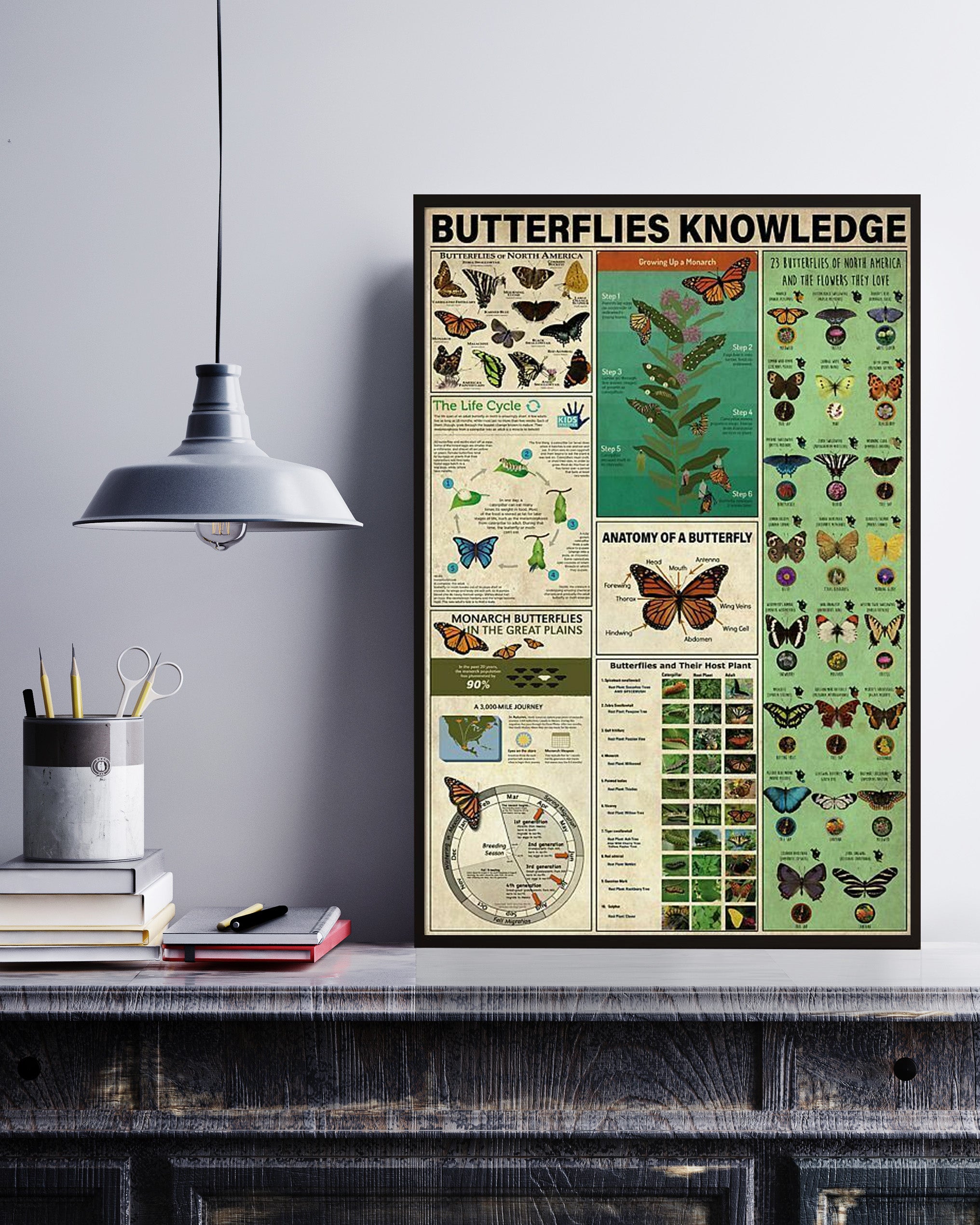 Butterflies Knowledge Poster No Frame