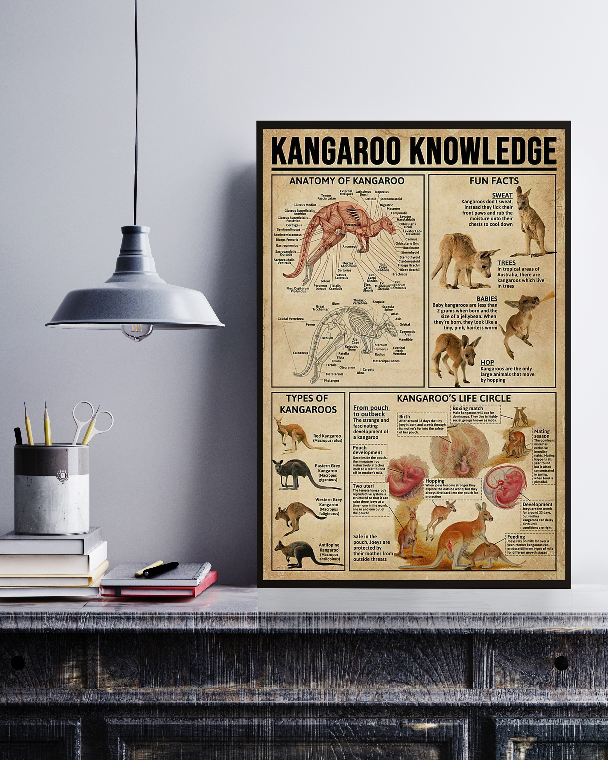 Kangaroo Knowledge Poster No Frame